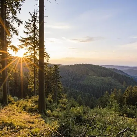 Appartamento Ferienwohnung Winterberg *