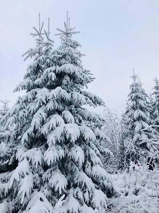 Ferienwohnung Winterberg Appartamento *