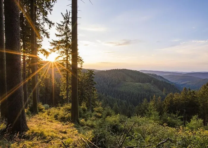 Διαμέρισμα Ferienwohnung Winterberg *